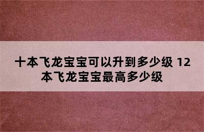 十本飞龙宝宝可以升到多少级 12本飞龙宝宝最高多少级